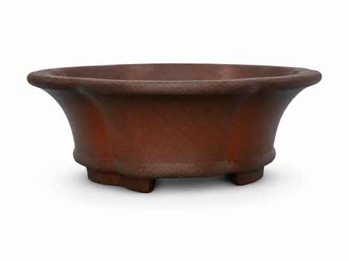 Autentico vaso bonsai - , in