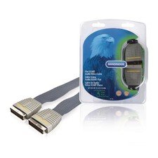 cavo video scart maschio