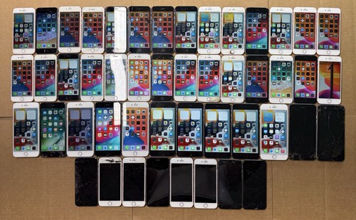 Lotto x48 apple - lotto, 6s