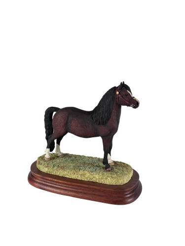 Welsh mountain pony bay border - pony,