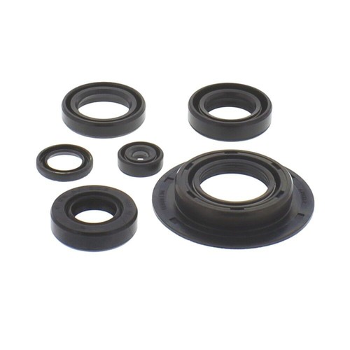 Kit guarnizioni olio - guarnizioni, motore