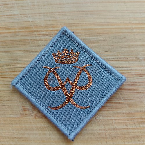 Scouting current duke of - scouting,