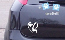 Adesivo sticker vinile jack russel cuore heart impronta pawprint zampa 12 x 12