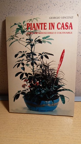 Piante casa giorgio - piante,