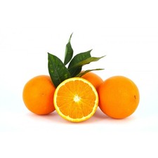 PIANTA ALBERO ARANCIO Navel