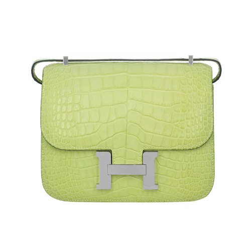 Hermes pelle esotica opaca