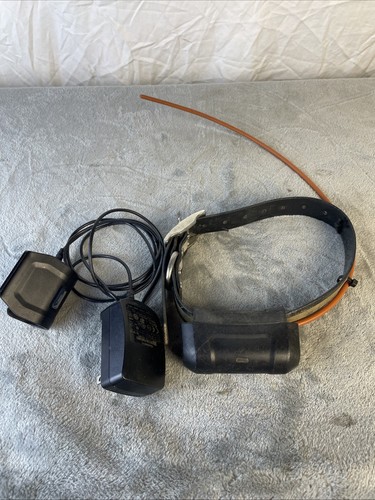 Garmin dc40 collare - garmin,