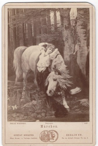 109 foto cartone rigido - cartone,