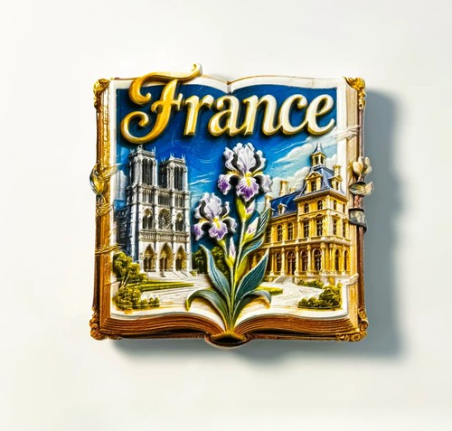 Calamita frigo paris notre - calamita,
