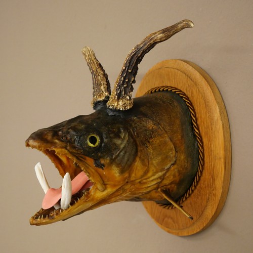 Fischwolpi wolpertinger con - fischwolpi,