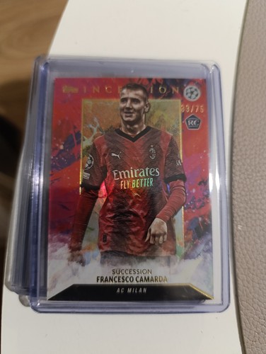 Francesco camarda 2023 - francesco, 2023-24