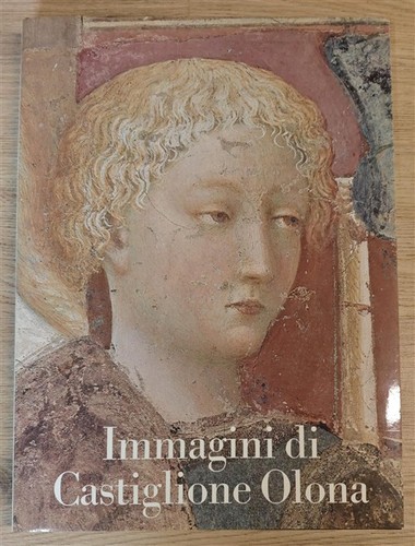 Immagini castiglione olona - castiglione,