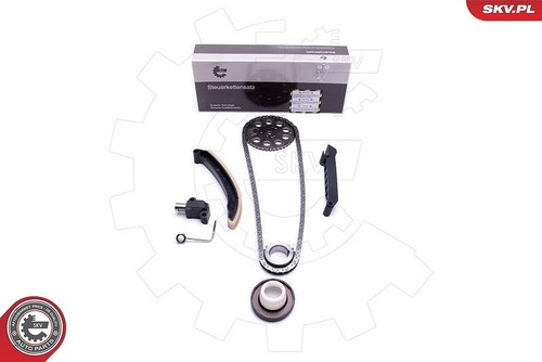Set catene distribuzione - di, di