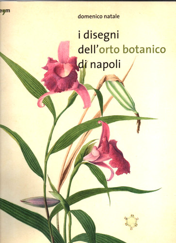 Domenico natale i - domenico,