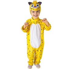 Costume carnevale - costume,