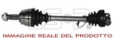 217146 GSP Albero