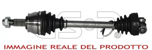 217146 gsp albero - gsp,