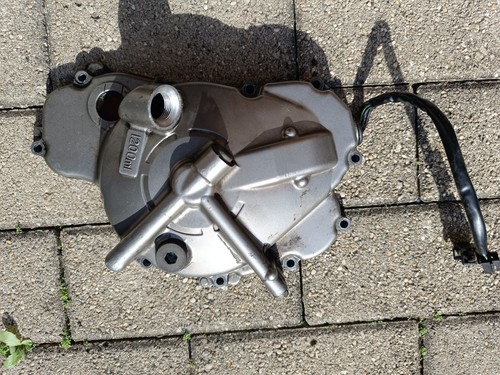 Carter statore pick up - +,