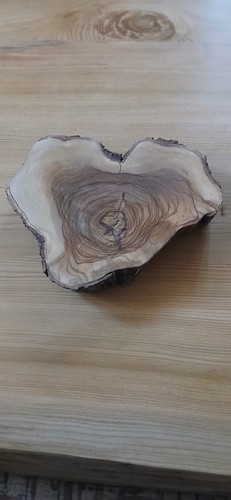 Fetta tronco legno di - legno,