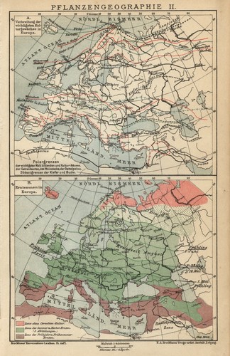 Antica mappa 1895 diffusione - antica,