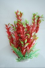 Acquario Piante Ca 35 CM Alto