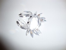 Granchio in autentico