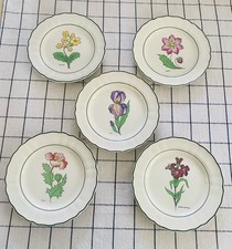 5 piatti botanici vintage