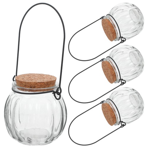 Barattolo biscotti zucca - , 4