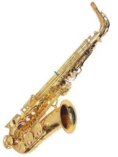 Yanagisawa Sassofono Strumento