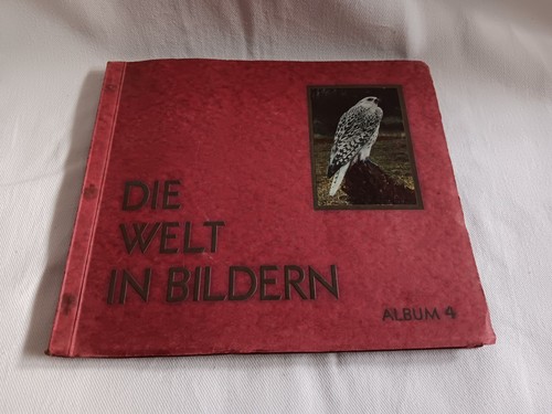 Album foto sigarette 4 - foto, n.