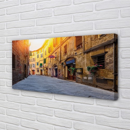 Quadro tela tulup 120x60 - su,