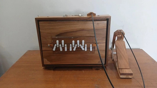 Shruti box shrutibox - –,