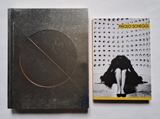 PAOLO SCHEGGI La breve e