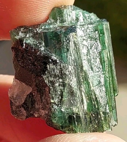 Stunning cats eye green - green, and