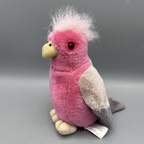 International galah - international,