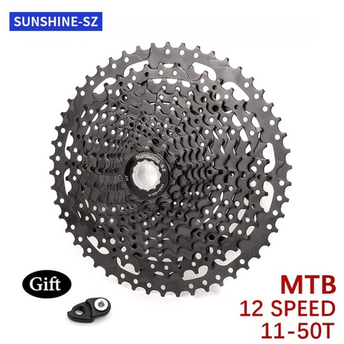 Pignone cassetta mountain bike