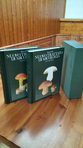 Mario galli nuovo - galli,