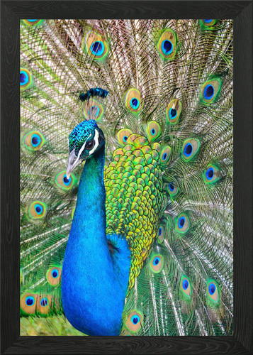Poster arte parete con - arte,