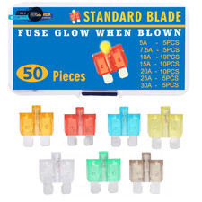 50 Piece Glow Fuse Standard