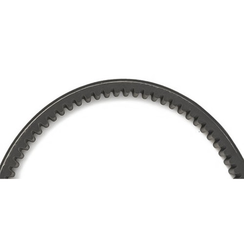 Cintura dentata semplice - da,