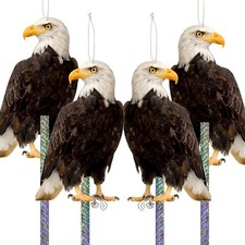 Dissuasori per Piccioni, Dissuasore per Piccioni, Falco Spaventa Piccioni anti P