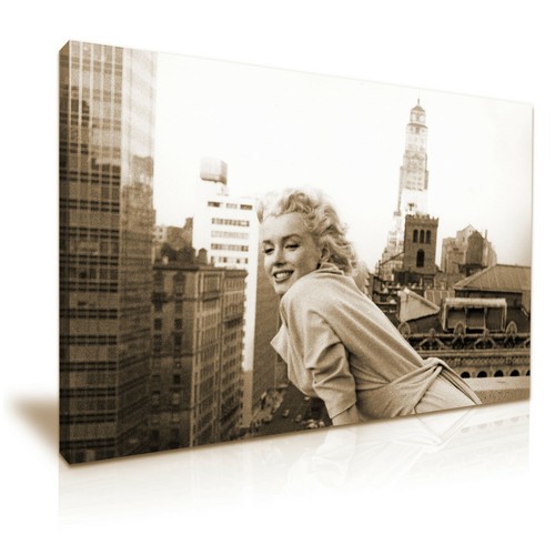 Marilyn monroe new - monroe,