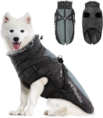 Cappotto cane invernale - cane,