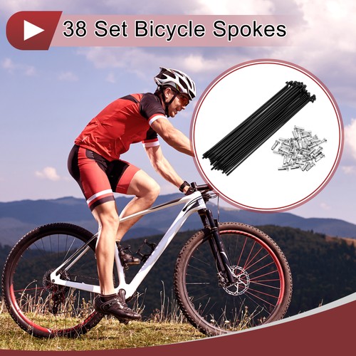 Set raggi bicicletta - 38, 14g