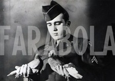 Foto vintage Francia, Piccioni viaggiatori con ufficiale,  Stampa 18 x 13 cm