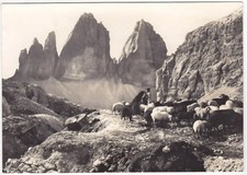 TRE CIME DI LAVAREDO - BOLZANO