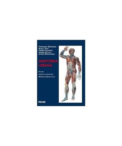 Anatomia umana esposito - anatomia, umana,