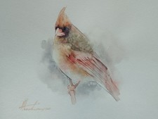 Cardinale, uccellini, opera