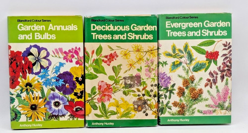 Deciduous garden evergreen - deciduous,