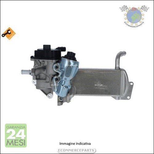 Valvola egr nrf - egr, per